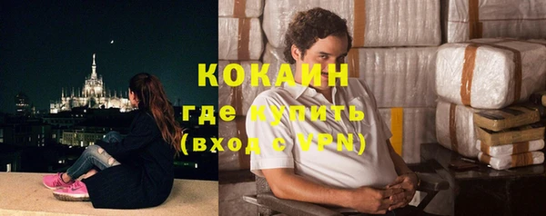 индика Инсар