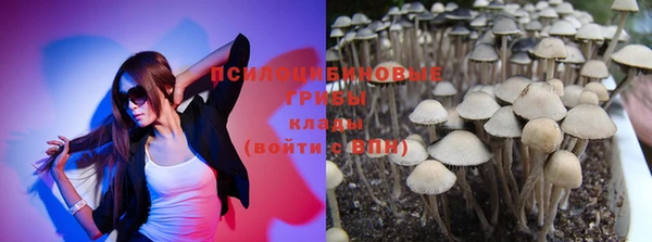 индика Инсар