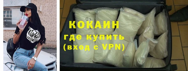 индика Инсар