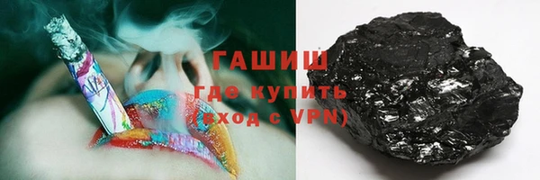 индика Инсар
