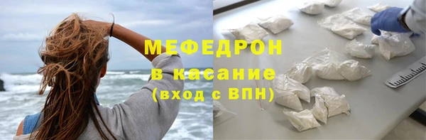 индика Инсар