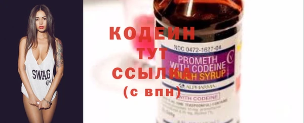индика Инсар