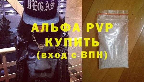 индика Инсар