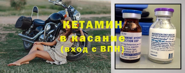 индика Инсар