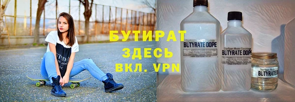 индика Инсар