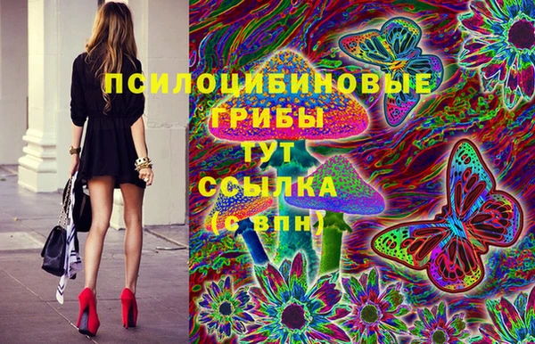 Альфа ПВП Иннополис